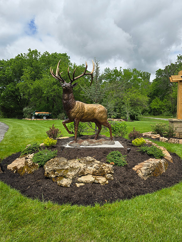 Half Life-sized Whitetail Bucks