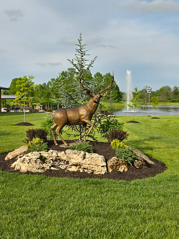 Half Life-sized Whitetail Bucks