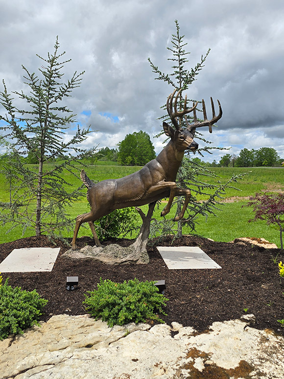 Half Life-sized Whitetail Bucks