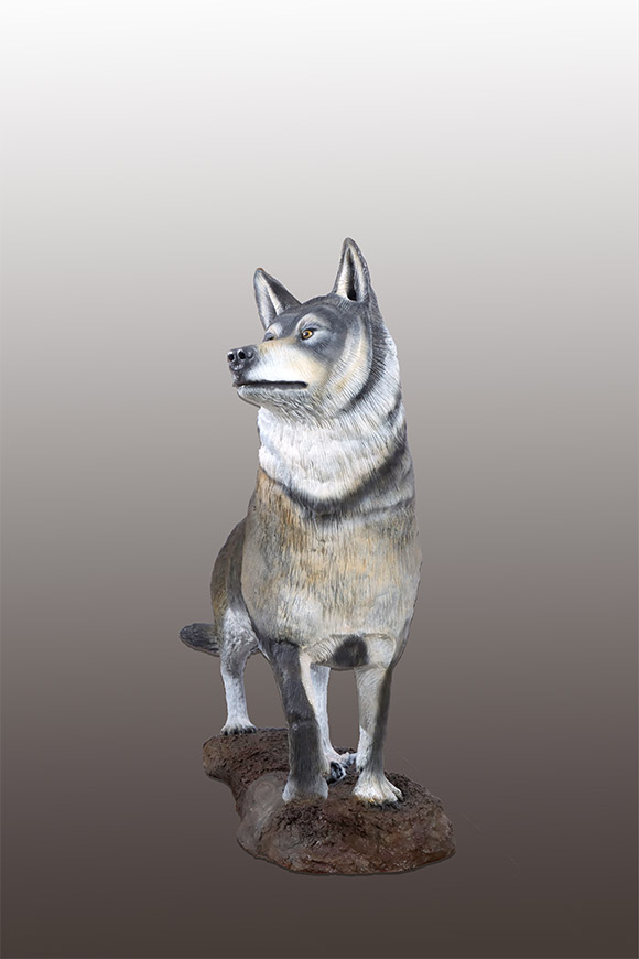 Life-sized Timber Wolf